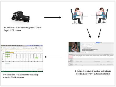 Development and reliability of the coding system evaluating maternal sensitivity to social interactions with 34- to 36-week postmenstrual age preterm infants
